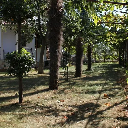 7195a Apartment *