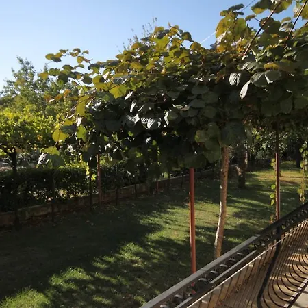 Apartment 7195a Rovinj